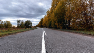 przydrozne-utrzymanie-zieleni-fot.1.