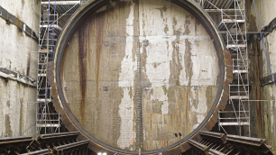 tunel-pod-swina-fot.1