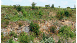 Kilka uwag na temat faz (etapów) rekultywacji gruntów po odkrywkowej działalności górniczej