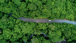 Analiza-problematyki-utrzymania-drzewostanu-i-zieleni-przydrożnej-fot.1.