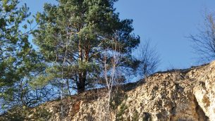 KRU_4_21_Anna_Ostrega_KIERUNKI_REKULTYWACJI_I_ZAGOSPODAROWANIA