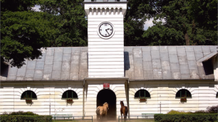 konferencja-utrzymanie-drog