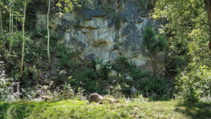wybrane-problemy-rekultywacji-kamieniolomow-fot.1.