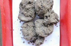 MAU_4_23_Bartlomiej_Grzesik_CHEMICZNA_WERYFIKACJA_ILOSCI_CEMENTU_FOT_7