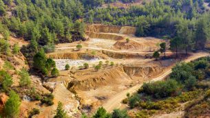 KRU_3_24_Wojciech_Naworyta_REKULTYWACJA_SUKCESJA_KOMPENSACJA_iStock-1356635750